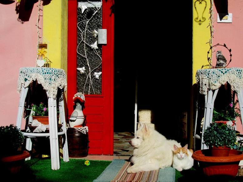 Art B&B La Casa Del Pittore Revine Lago Luaran gambar